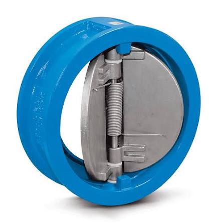 Cast Iron Dual Plate Check Valve